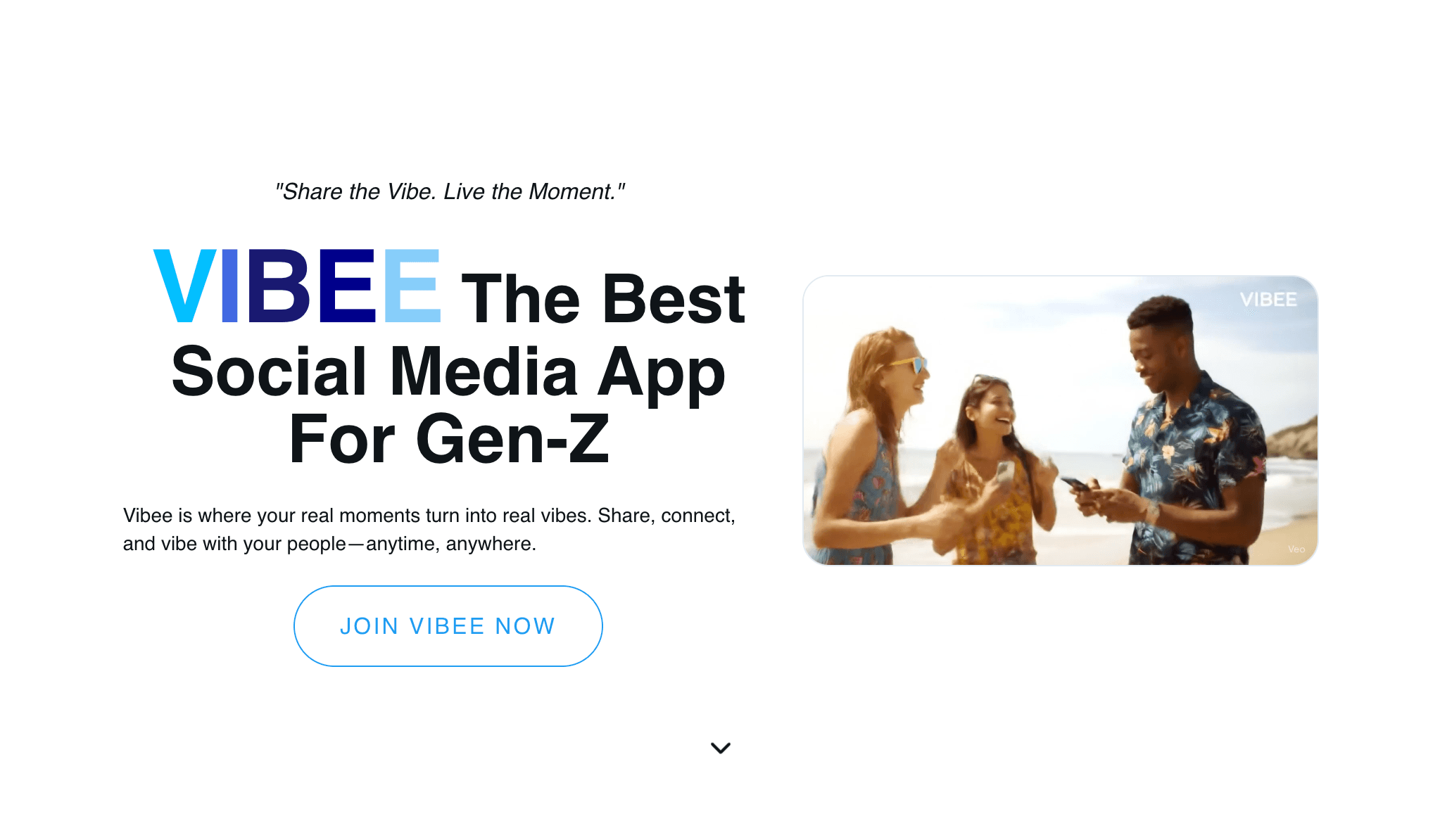 Vibee